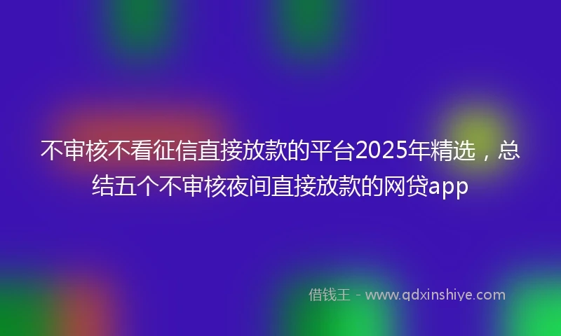 不审核不看征信直接放款的平台2025年精选，总结五个不审核夜间直接放款的网贷app