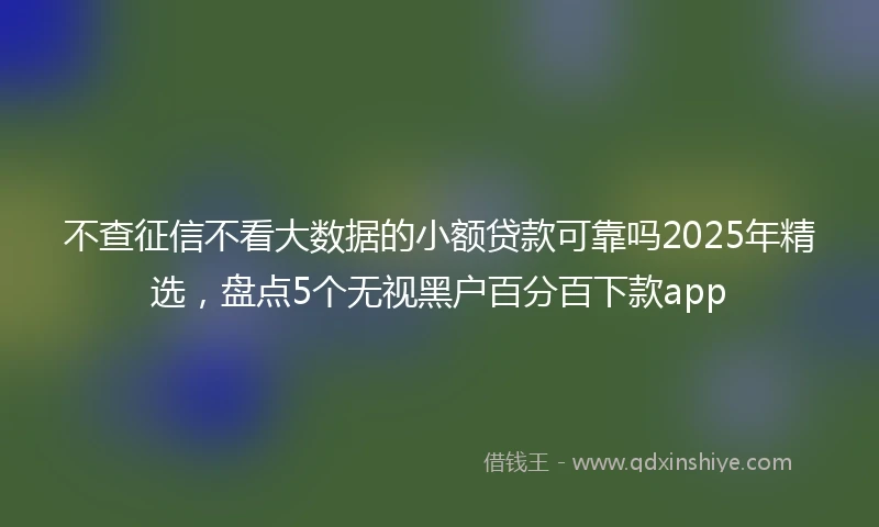 不查征信不看大数据的小额贷款可靠吗2025年精选，盘点5个无视黑户百分百下款app