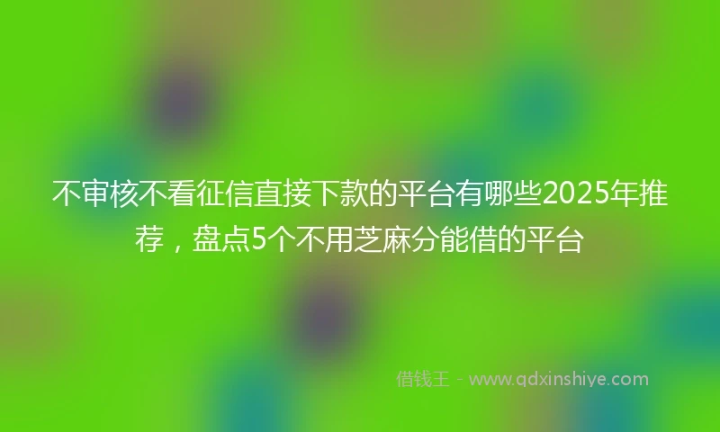 不审核不看征信直接下款的平台有哪些2025年推荐，盘点5个不用芝麻分能借的平台