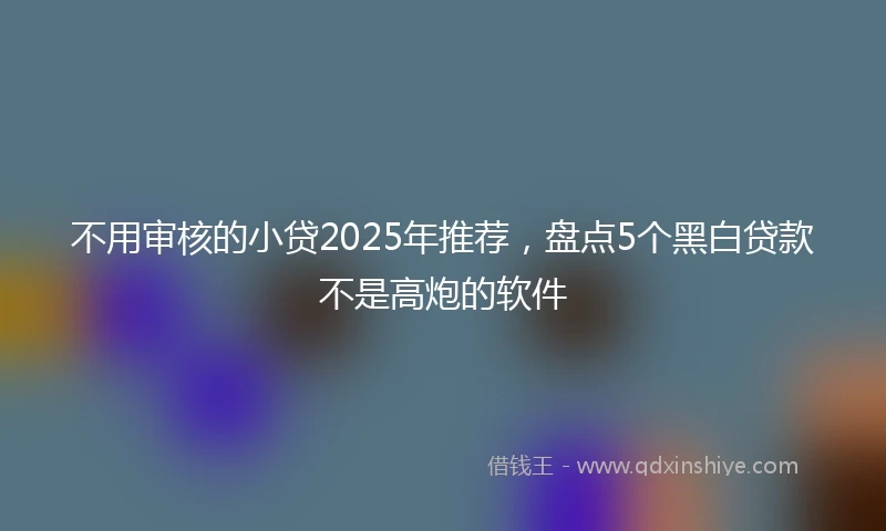 不用审核的小贷2025年推荐，盘点5个黑白贷款不是高炮的软件