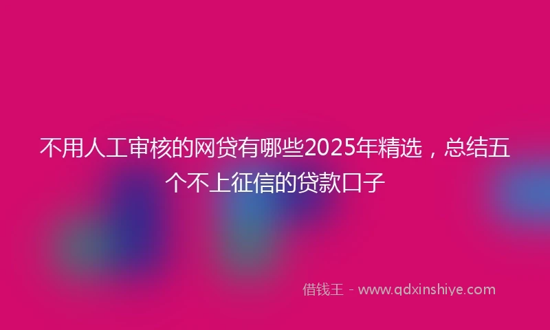 不用人工审核的网贷有哪些2025年精选，总结五个不上征信的贷款口子