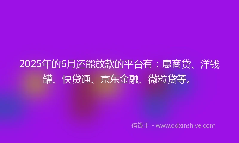 2025年的6月还能放款的平台有：惠商贷、洋钱罐、快贷通、京东金融、微粒贷等。