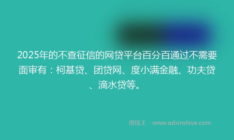 2025年的不查征信的网贷平台百分百通过不需要面审有：柯基贷、团贷网、度小满金融、功夫贷、滴水贷等。
