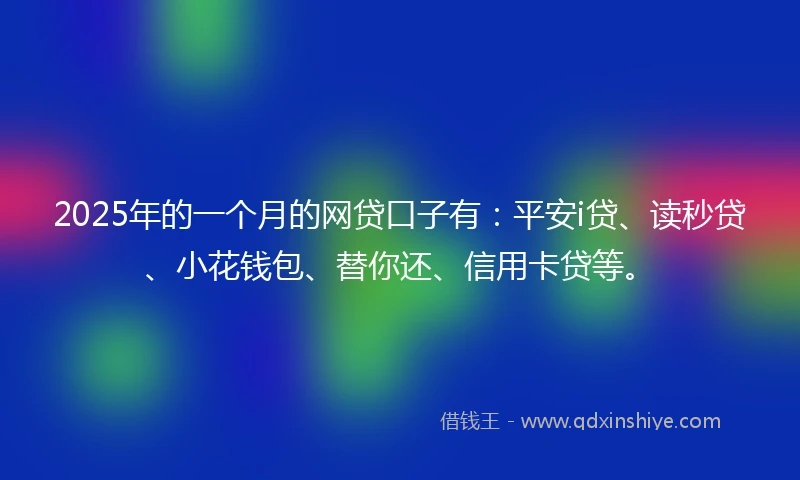2025年的一个月的网贷口子有：平安i贷、读秒贷、小花钱包、替你还、信用卡贷等。