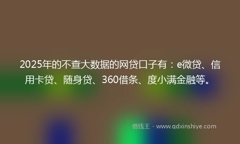 2025年的不查大数据的网贷口子有：e微贷、信用卡贷、随身贷、360借条、度小满金融等。