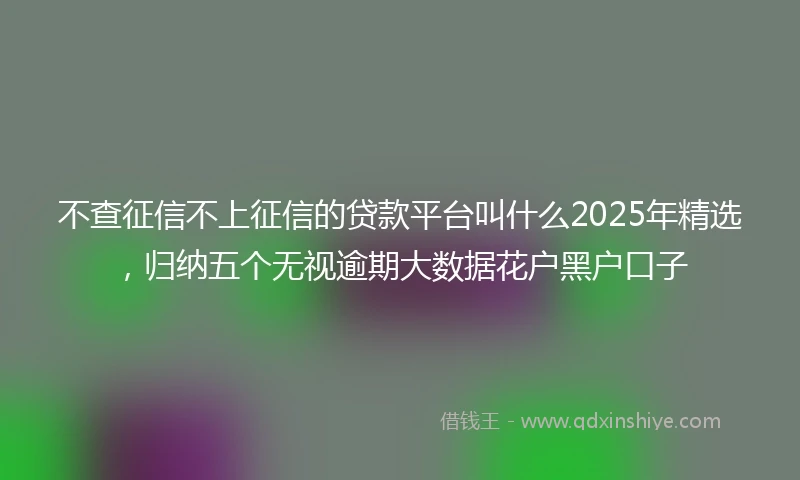 不查征信不上征信的贷款平台叫什么2025年精选，归纳五个无视逾期大数据花户黑户口子