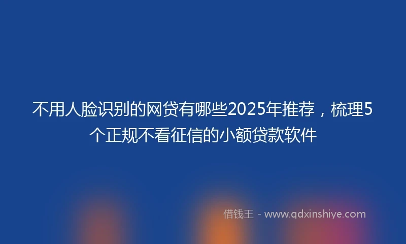 不用人脸识别的网贷有哪些2025年推荐，梳理5个正规不看征信的小额贷款软件