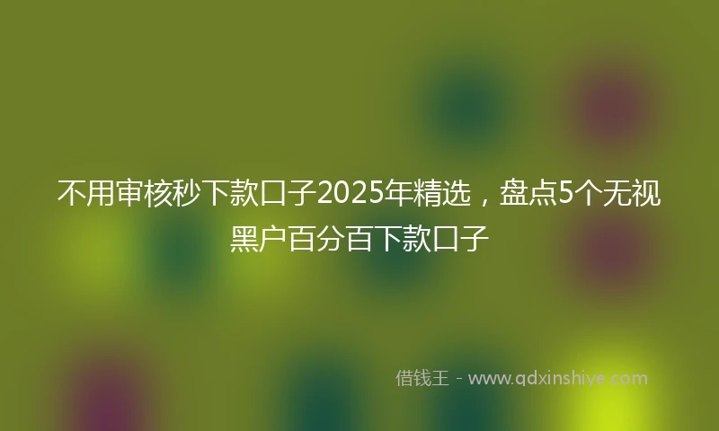 不用审核秒下款口子2025年精选，盘点5个无视黑户百分百下款口子