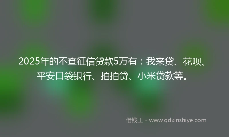2025年的不查征信贷款5万有：我来贷、花呗、平安口袋银行、拍拍贷、小米贷款等。