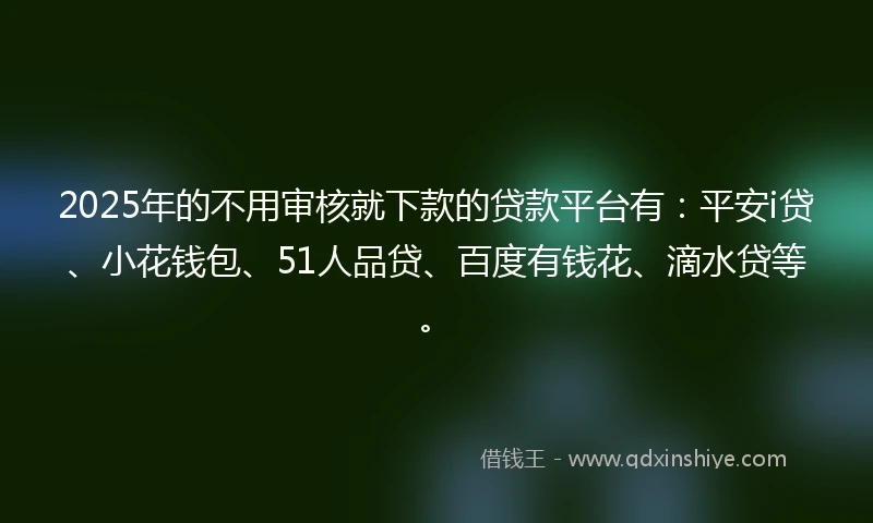 2025年的不用审核就下款的贷款平台有：平安i贷、小花钱包、51人品贷、百度有钱花、滴水贷等。