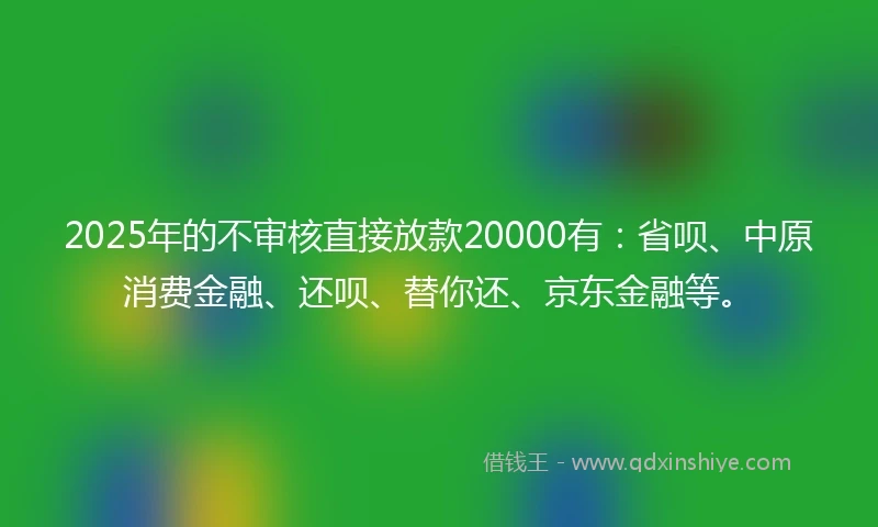 2025年的不审核直接放款20000有:省呗、中原消费金融、还呗、替你还、京东金融等。
