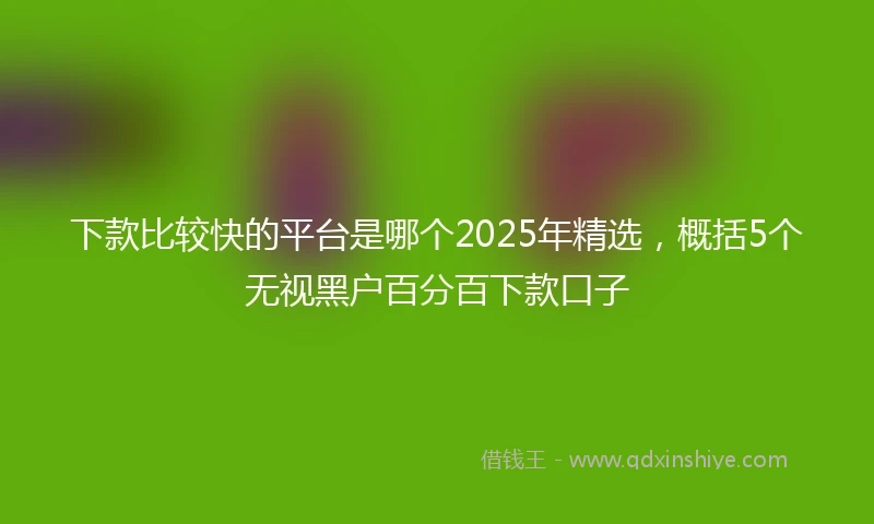下款比较快的平台是哪个2025年精选，概括5个无视黑户百分百下款口子