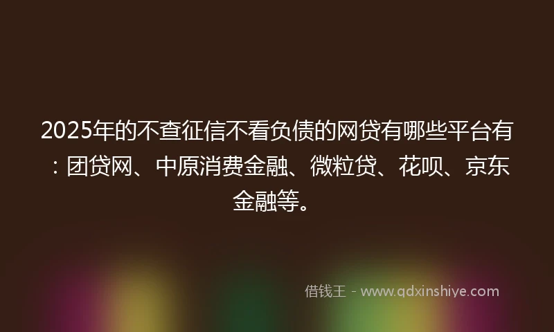 2025年的不查征信不看负债的网贷有哪些平台有：团贷网、中原消费金融、微粒贷、花呗、京东金融等。