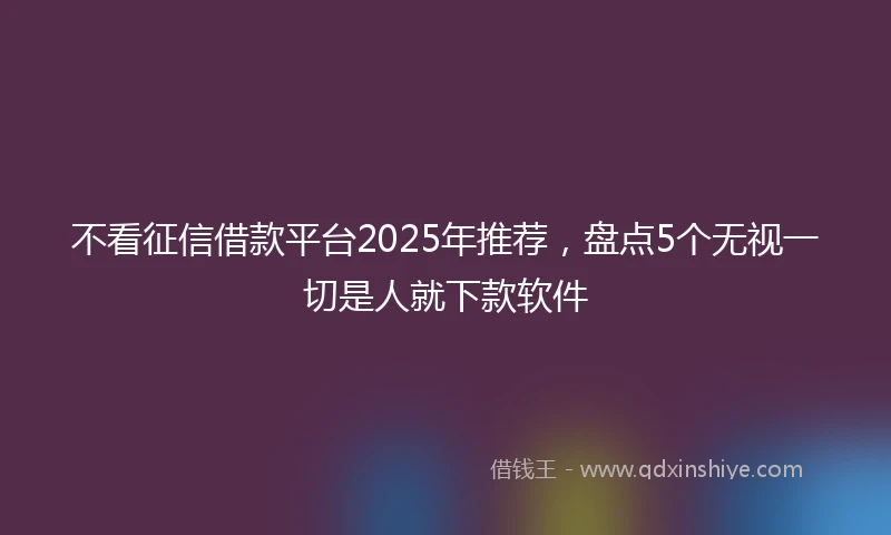 不看征信借款平台2025年推荐，盘点5个无视一切是人就下款软件