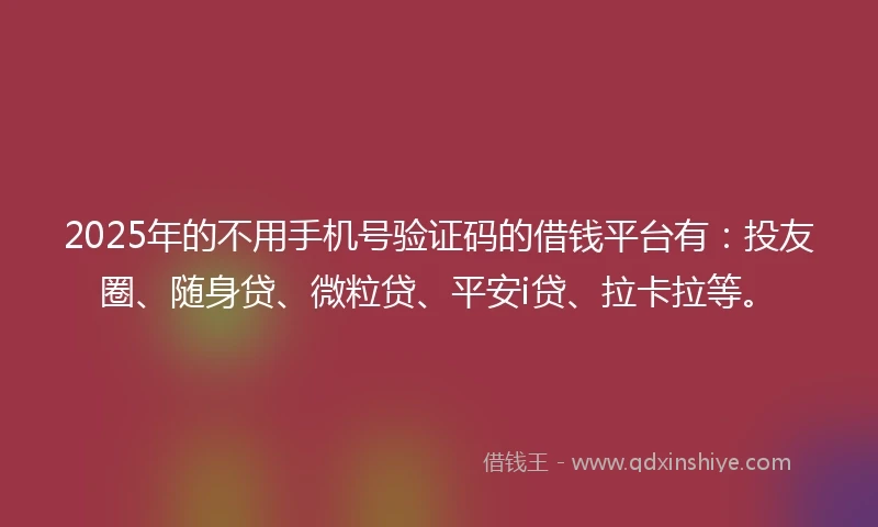 2025年的不用手机号验证码的借钱平台有：投友圈、随身贷、微粒贷、平安i贷、拉卡拉等。