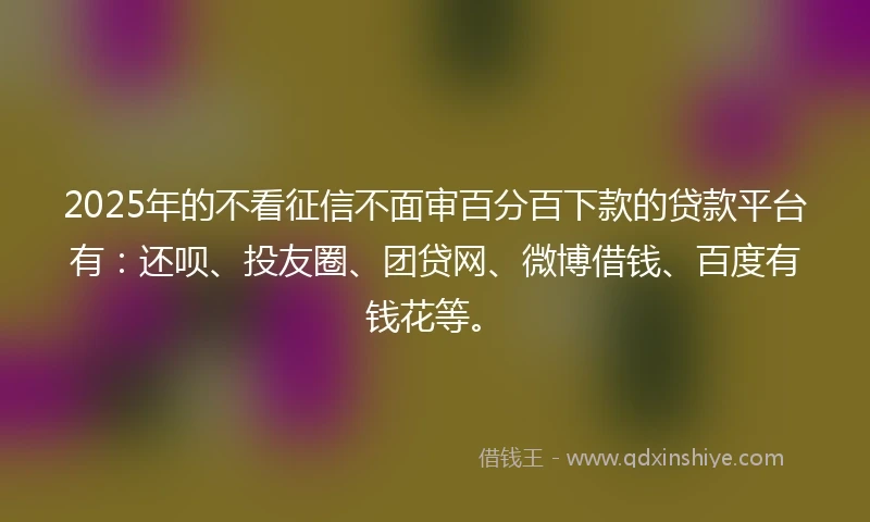 2025年的不看征信不面审百分百下款的贷款平台有：还呗、投友圈、团贷网、微博借钱、百度有钱花等。