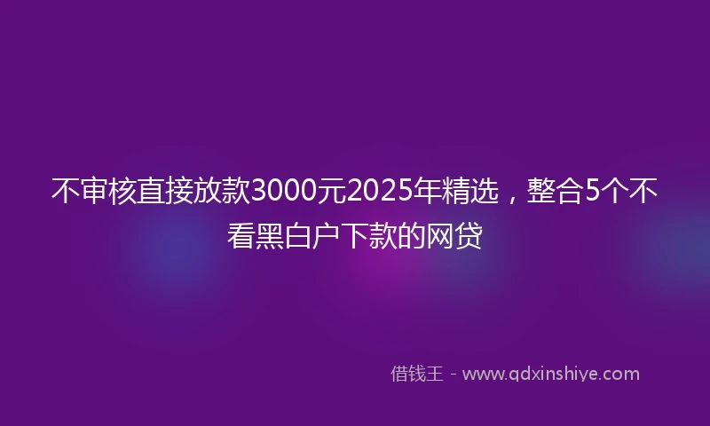 不审核直接放款3000元2025年精选，整合5个不看黑白户下款的网贷