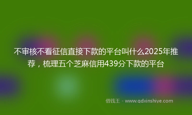 不审核不看征信直接下款的平台叫什么2025年推荐，梳理五个芝麻信用439分下款的平台