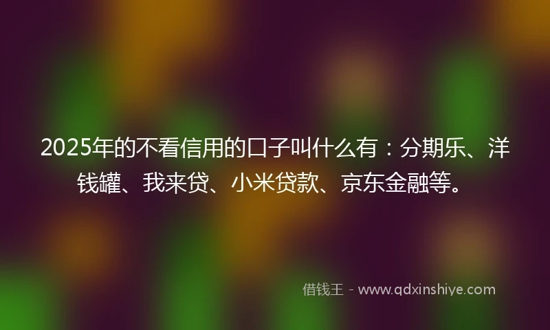 2025年的不看信用的口子叫什么有：分期乐、洋钱罐、我来贷、小米贷款、京东金融等。