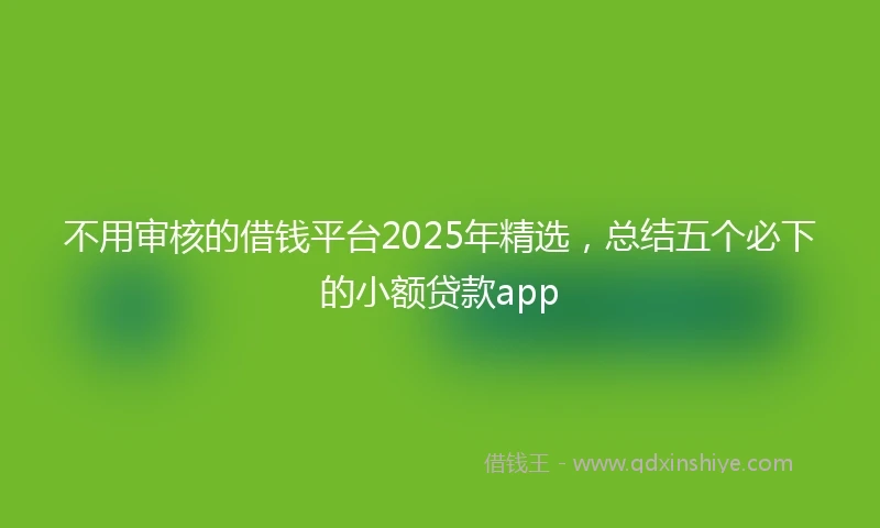 不用审核的借钱平台2025年精选，总结五个必下的小额贷款app