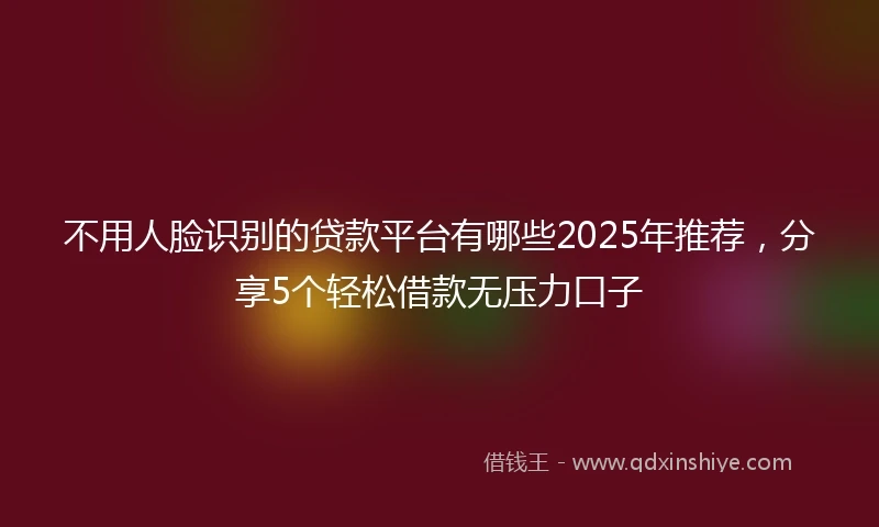 不用人脸识别的贷款平台有哪些2025年推荐，分享5个轻松借款无压力口子