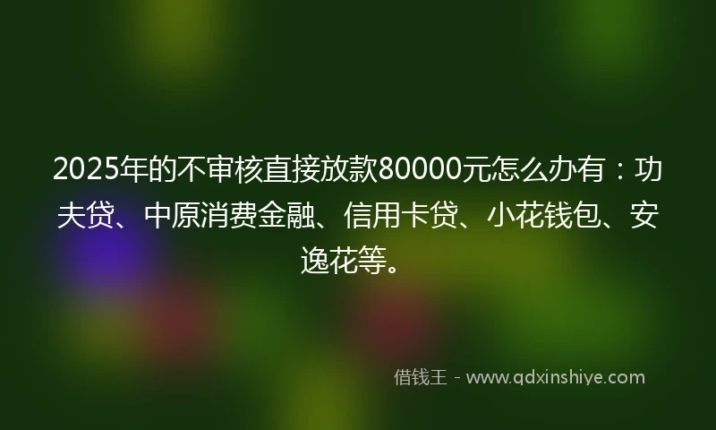 2025年的不审核直接放款80000元怎么办有：功夫贷、中原消费金融、信用卡贷、小花钱包、安逸花等。