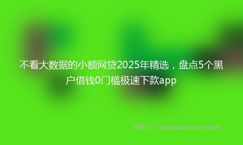 不看大数据的小额网贷2025年精选，盘点5个黑户借钱0门槛极速下款app