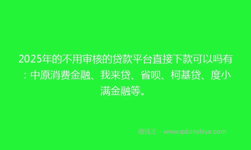 2025年的不用审核的贷款平台直接下款可以吗有：中原消费金融、我来贷、省呗、柯基贷、度小满金融等。