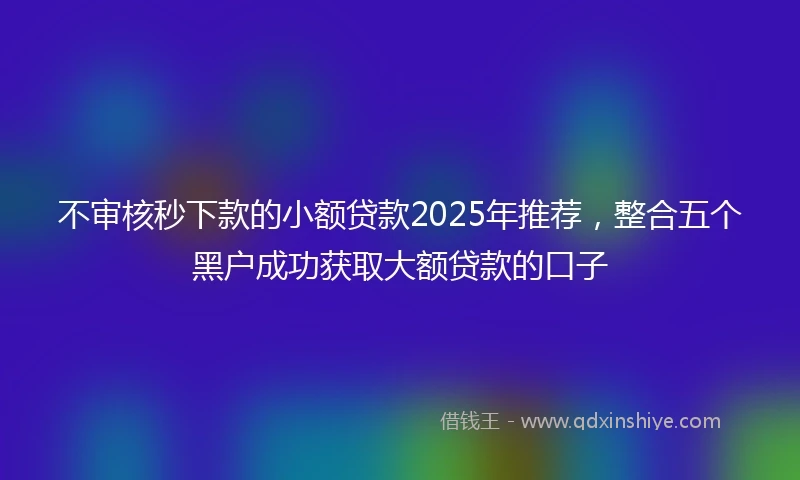 不审核秒下款的小额贷款2025年推荐，整合五个黑户成功获取大额贷款的口子