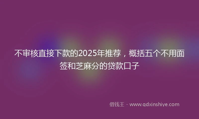 不审核直接下款的2025年推荐，概括五个不用面签和芝麻分的贷款口子