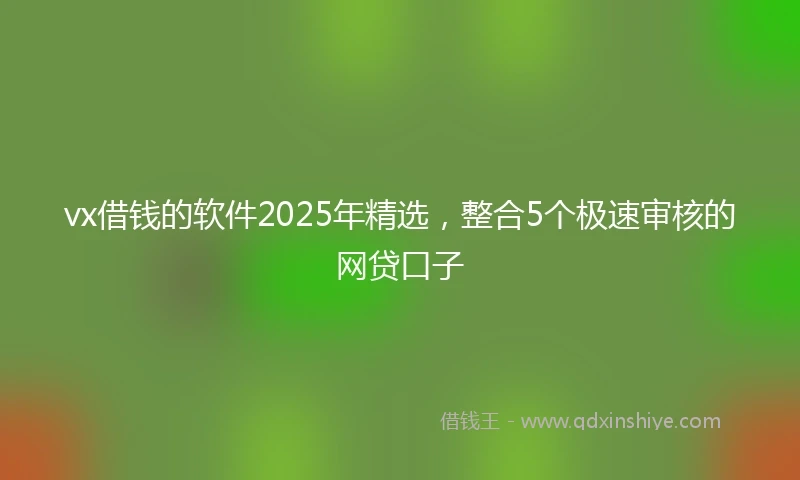 vx借钱的软件2025年精选，整合5个极速审核的网贷口子