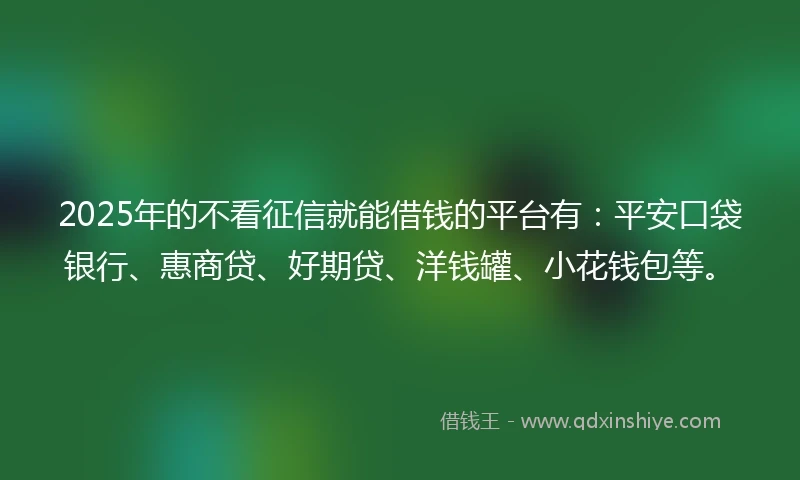 2025年的不看征信就能借钱的平台有：平安口袋银行、惠商贷、好期贷、洋钱罐、小花钱包等。