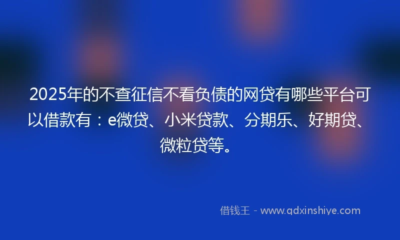 2025年的不查征信不看负债的网贷有哪些平台可以借款有：e微贷、小米贷款、分期乐、好期贷、微粒贷等。