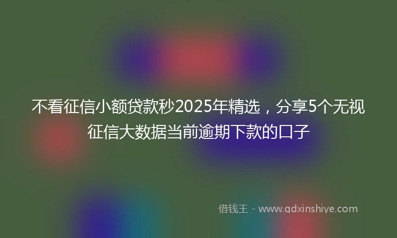 不看征信小额贷款秒2025年精选,分享5个无视征信大数据当前逾期下款的口子