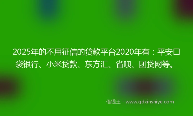 2025年的不用征信的贷款平台2020年有：平安口袋银行、小米贷款、东方汇、省呗、团贷网等。