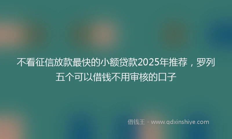不看征信放款最快的小额贷款2025年推荐，罗列五个可以借钱不用审核的口子