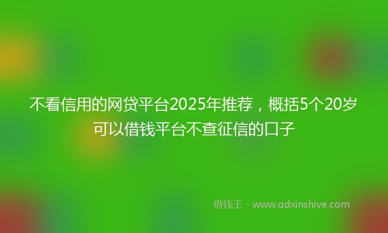 不看信用的网贷平台2025年推荐，概括5个20岁可以借钱平台不查征信的口子