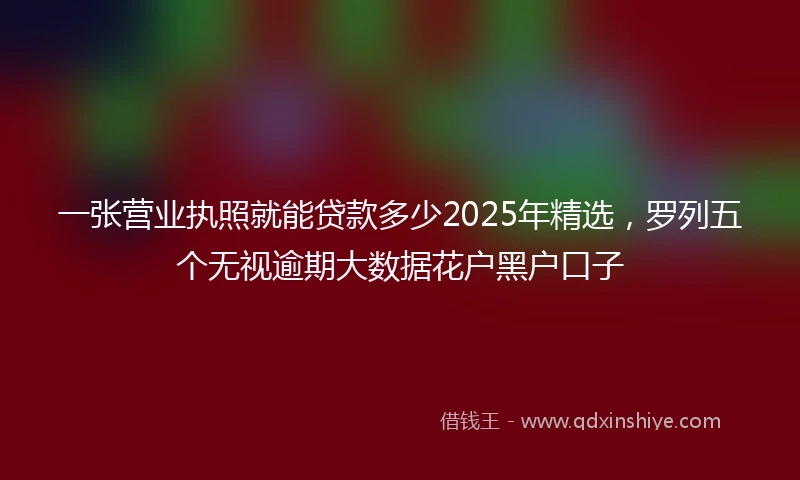 一张营业执照就能贷款多少2025年精选，罗列五个无视逾期大数据花户黑户口子