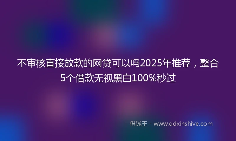 不审核直接放款的网贷可以吗2025年推荐，整合5个借款无视黑白100%秒过