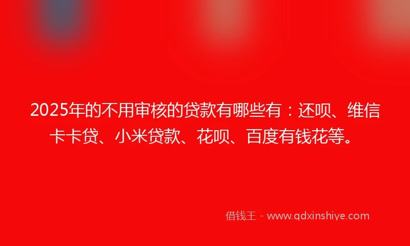 2025年的不用审核的贷款有哪些有：还呗、维信卡卡贷、小米贷款、花呗、百度有钱花等。
