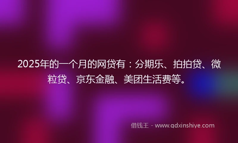2025年的一个月的网贷有：分期乐、拍拍贷、微粒贷、京东金融、美团生活费等。