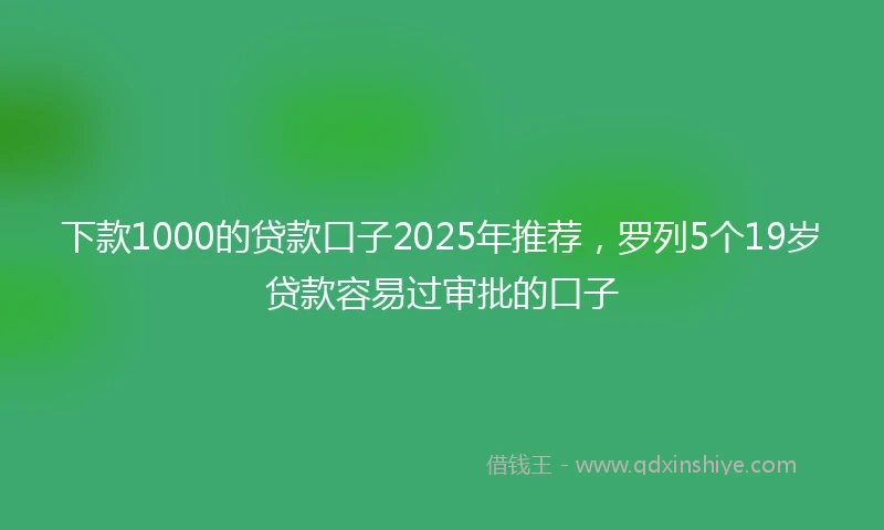 下款1000的贷款口子2025年推荐，罗列5个19岁贷款容易过审批的口子