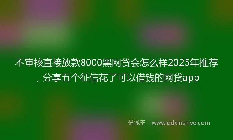 不审核直接放款8000黑网贷会怎么样2025年推荐，分享五个征信花了可以借钱的网贷app