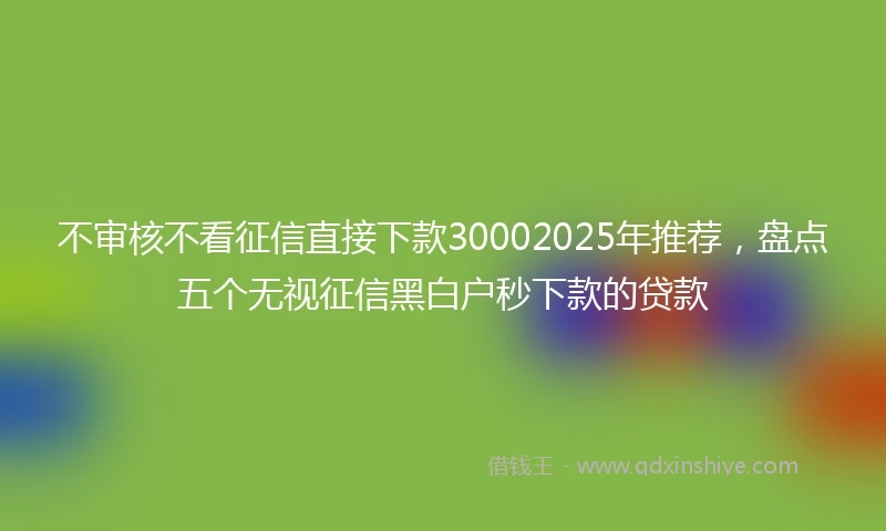 不审核不看征信直接下款30002025年推荐，盘点五个无视征信黑白户秒下款的贷款