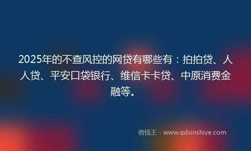 2025年的不查风控的网贷有哪些有：拍拍贷、人人贷、平安口袋银行、维信卡卡贷、中原消费金融等。