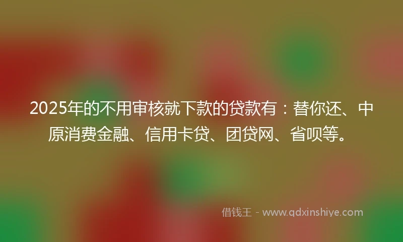 2025年的不用审核就下款的贷款有：替你还、中原消费金融、信用卡贷、团贷网、省呗等。