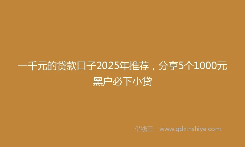 一千元的贷款口子2025年推荐，分享5个1000元黑户必下小贷