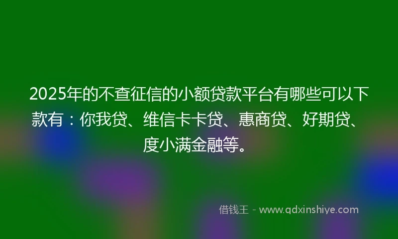 2025年的不查征信的小额贷款平台有哪些可以下款有：你我贷、维信卡卡贷、惠商贷、好期贷、度小满金融等。