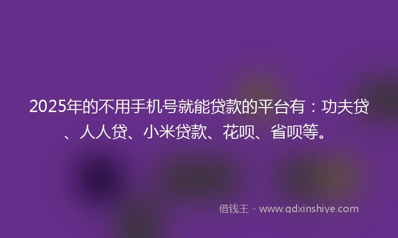 2025年的不用手机号就能贷款的平台有：功夫贷、人人贷、小米贷款、花呗、省呗等。