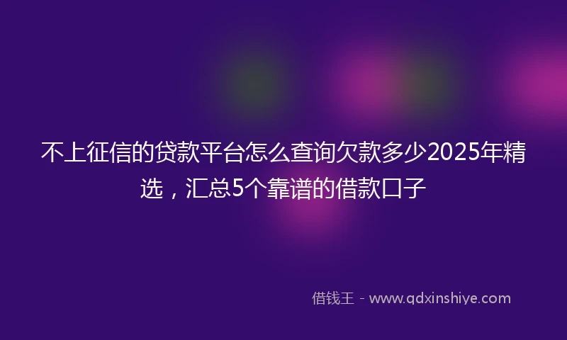 不上征信的贷款平台怎么查询欠款多少2025年精选，汇总5个靠谱的借款口子